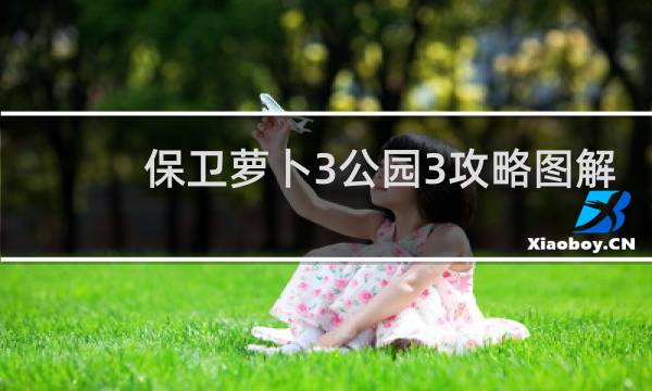 保卫萝卜3公园3攻略图解