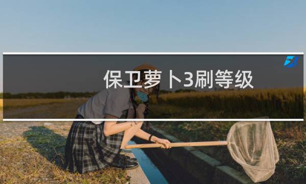 保卫萝卜3刷等级