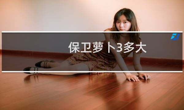保卫萝卜3多大