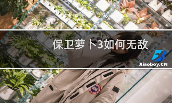 保卫萝卜3如何无敌