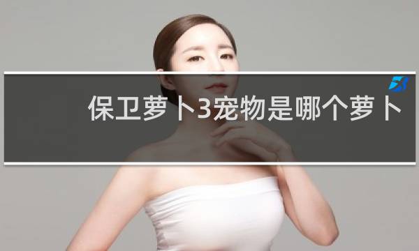 保卫萝卜3宠物是哪个萝卜