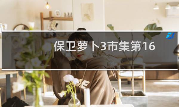 保卫萝卜3市集第16