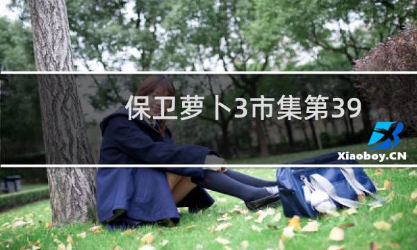 保卫萝卜3市集第39