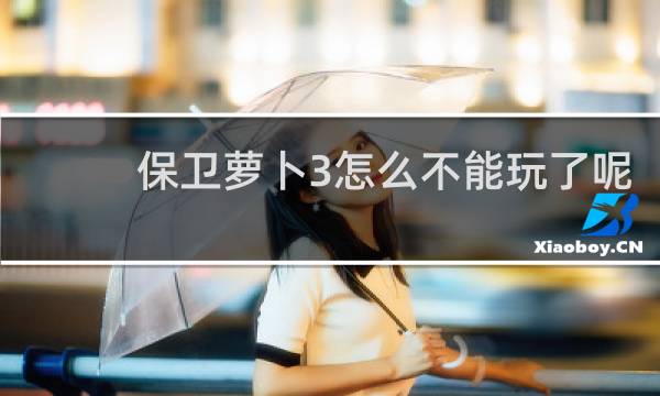 保卫萝卜3怎么不能玩了呢