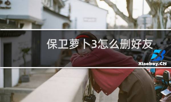 保卫萝卜3怎么删好友