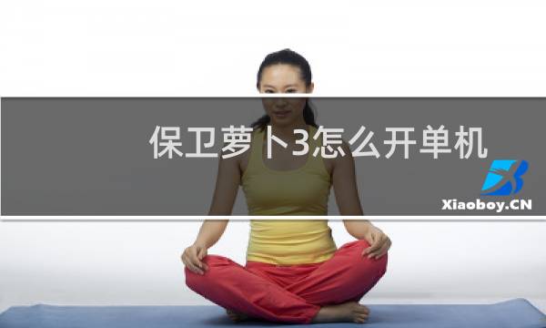 保卫萝卜3怎么开单机