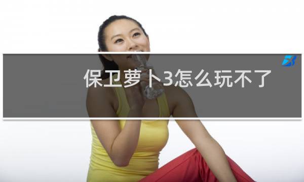 保卫萝卜3怎么玩不了
