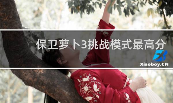 保卫萝卜3挑战模式最高分