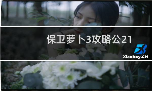 保卫萝卜3攻略公21