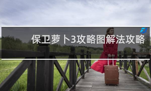保卫萝卜3攻略图解法攻略