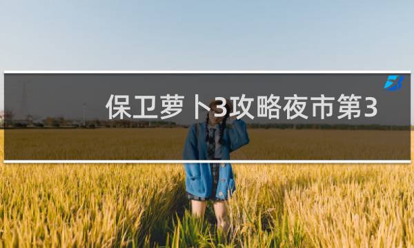保卫萝卜3攻略夜市第3
