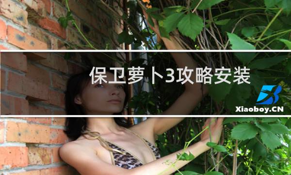 保卫萝卜3攻略安装