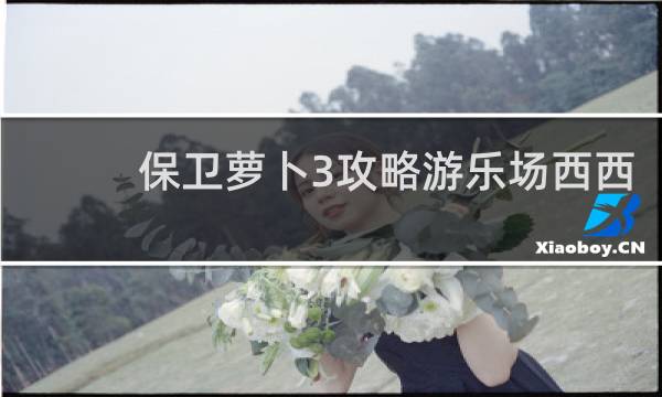 保卫萝卜3攻略游乐场西西