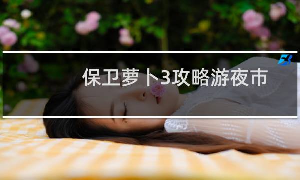 保卫萝卜3攻略游夜市