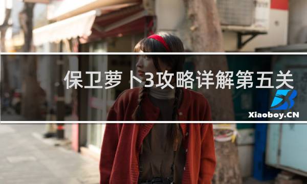 保卫萝卜3攻略详解第五关