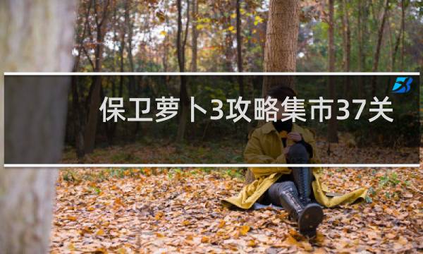 保卫萝卜3攻略集市37关