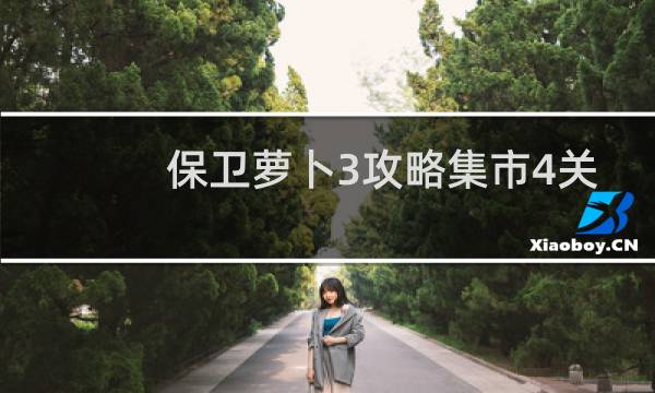 保卫萝卜3攻略集市4关