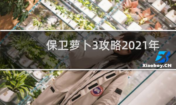 保卫萝卜3攻略2021年