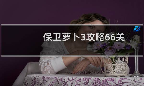 保卫萝卜3攻略66关