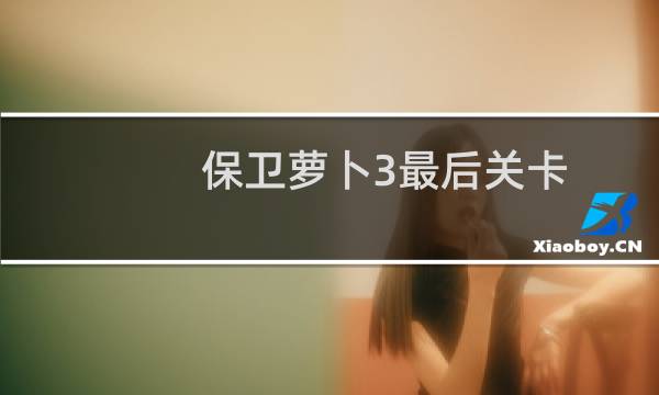 保卫萝卜3最后关卡