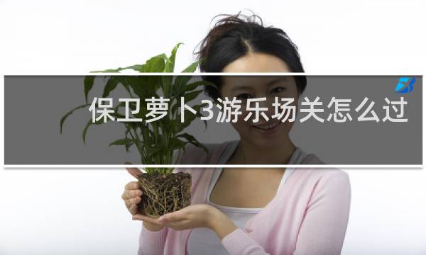 保卫萝卜3游乐场关怎么过