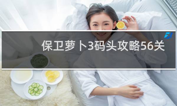 保卫萝卜3码头攻略56关