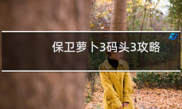 保卫萝卜3码头3攻略