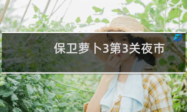 保卫萝卜3第3关夜市