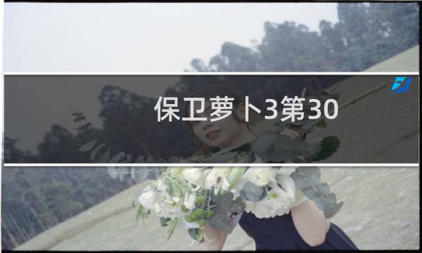 保卫萝卜3第30