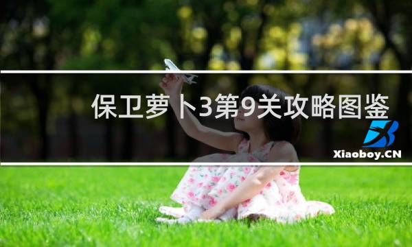 保卫萝卜3第9关攻略图鉴