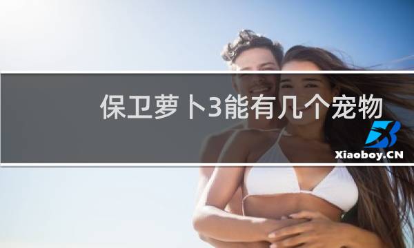 保卫萝卜3能有几个宠物