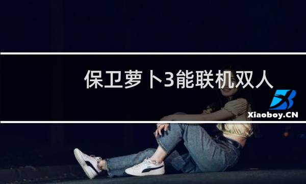 保卫萝卜3能联机双人