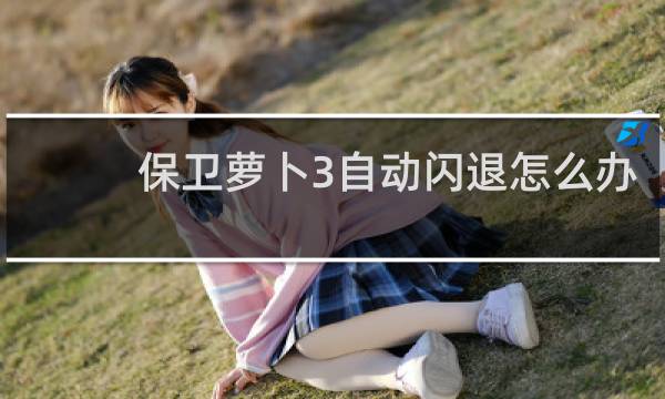 保卫萝卜3自动闪退怎么办