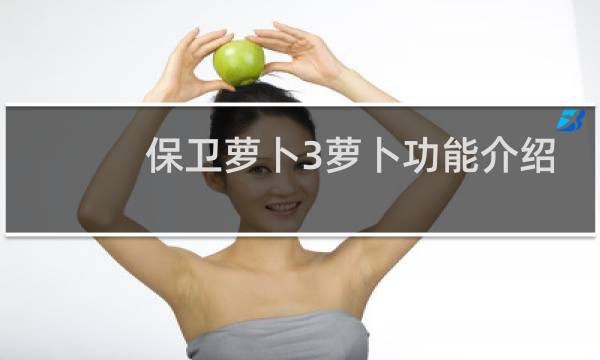 保卫萝卜3萝卜功能介绍