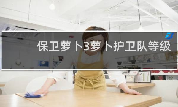 保卫萝卜3萝卜护卫队等级