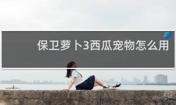保卫萝卜3西瓜宠物怎么用