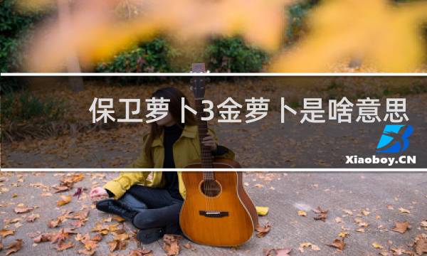 保卫萝卜3金萝卜是啥意思