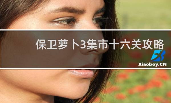 保卫萝卜3集市十六关攻略