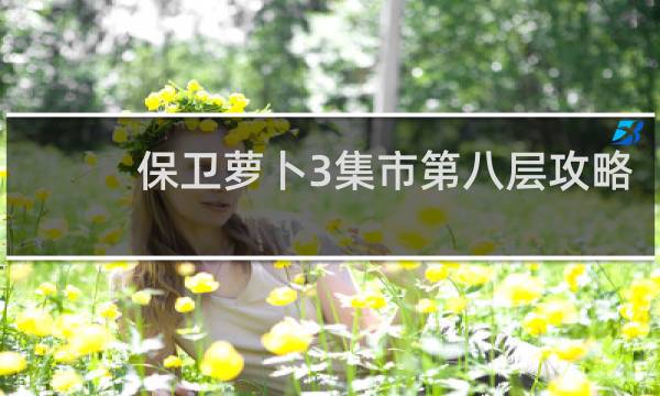保卫萝卜3集市第八层攻略