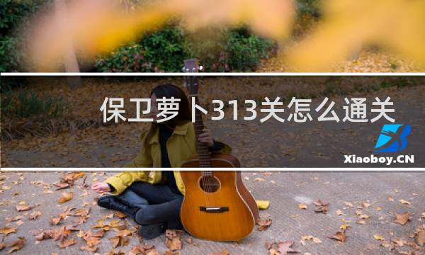 保卫萝卜313关怎么通关