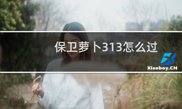 保卫萝卜313怎么过