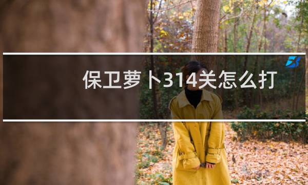 保卫萝卜314关怎么打