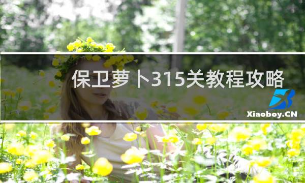 保卫萝卜315关教程攻略