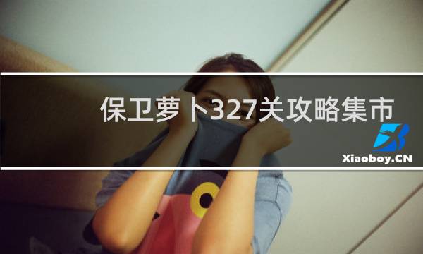 保卫萝卜327关攻略集市