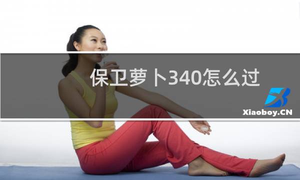 保卫萝卜340怎么过