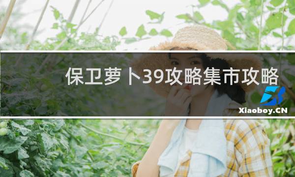 保卫萝卜39攻略集市攻略