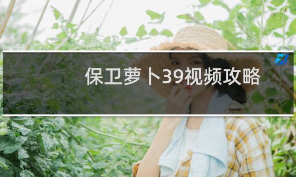 保卫萝卜39视频攻略