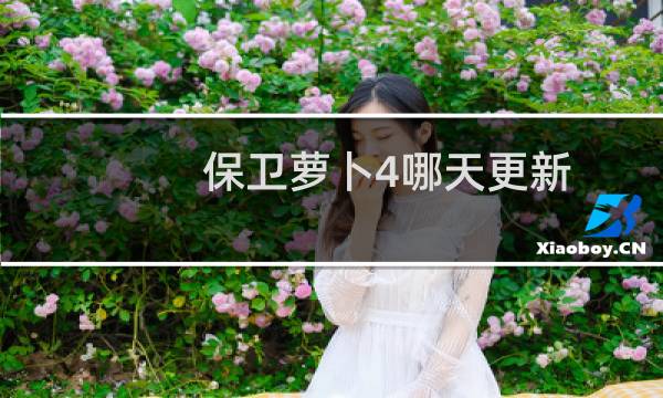 保卫萝卜4哪天更新