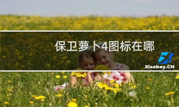 保卫萝卜4图标在哪