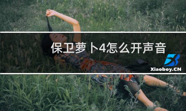 保卫萝卜4怎么开声音